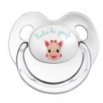 456018 2 pacifiers set 0 6 months 1