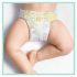 pampers premiumcare no5 148b